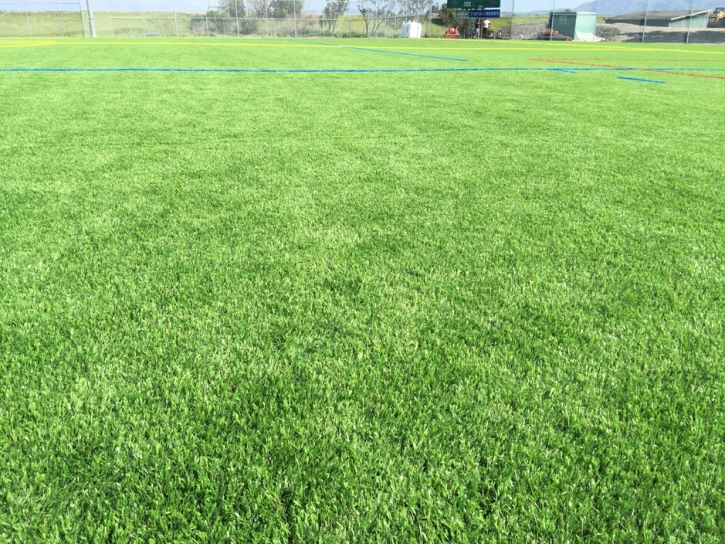 Fake Grass Sports Applications Montgomery Village Maryland