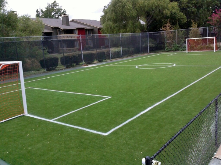 Fake Grass Sports Fields Garrison Maryland Front Yard