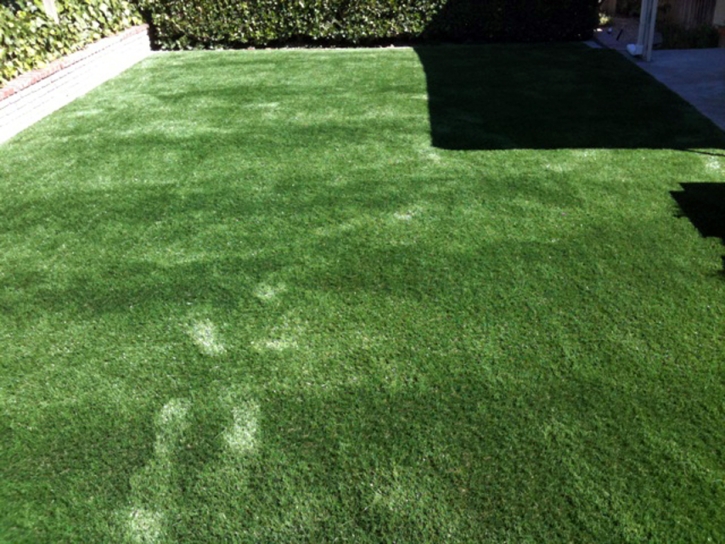 Fake Pet Grass Adelphi Maryland Installation Front Yard