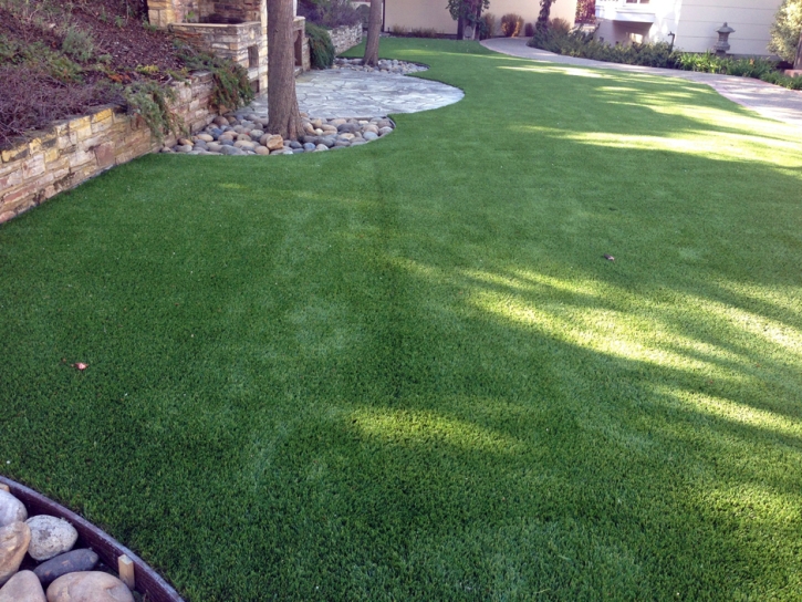 Fake Pet Grass Chester Maryland for Dogs Back Yard