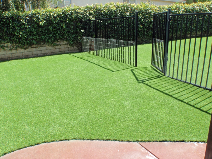 Fake Pet Grass Fairmount Heights Maryland for Dogs