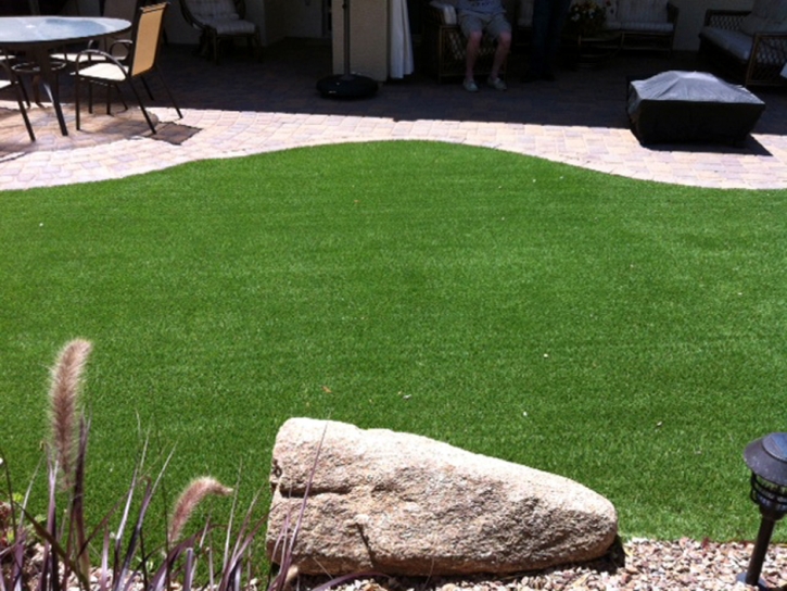 Fake Pet Grass White Oak Maryland Installation Front Yard