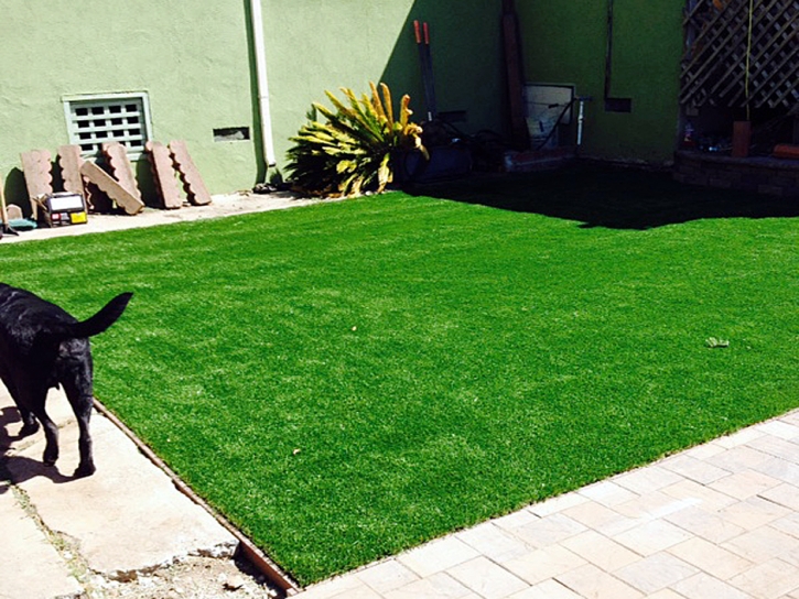 Fake Pet Turf Beltsville Maryland Installation Front Yard