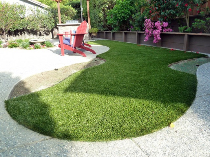 Fake Pet Turf Darlington Maryland Installation