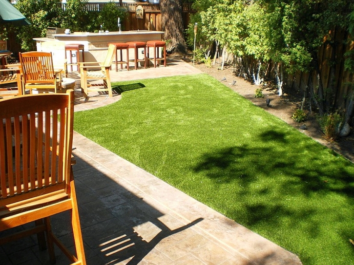 Fake Pet Turf Hampton Maryland for Dogs Commercial Landscape