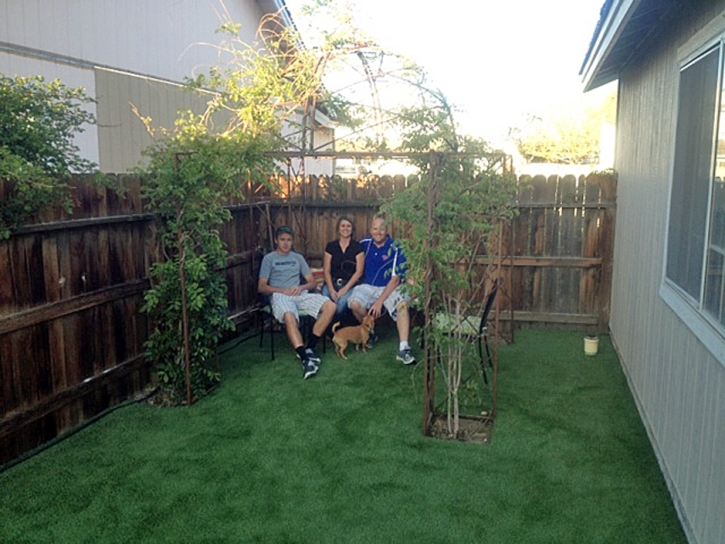 Fake Pet Turf Riverdale Park Maryland Installation