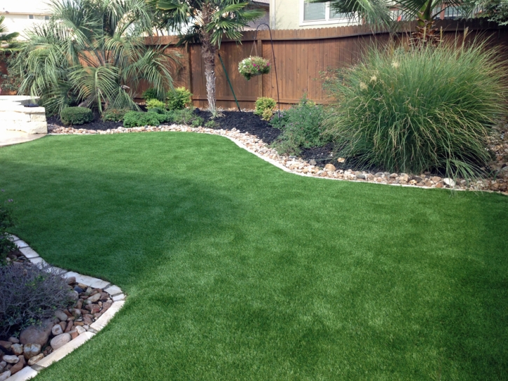 Fake Pet Turf Tolchester Maryland for Dogs Back Yard