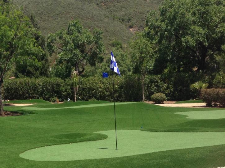 Golf Putting Greens North Bethesda Maryland Fake Grass Back