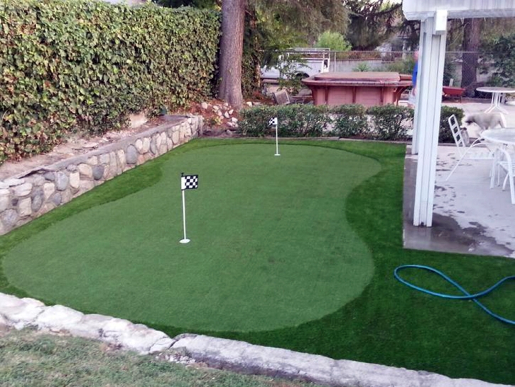 Golf Putting Greens Olney Maryland Synthetic Grass Back