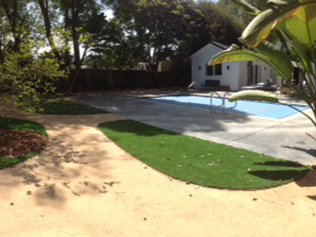 Grass Installation Camp Springs, Maryland Backyard Playground, Natural Swimming Pools
