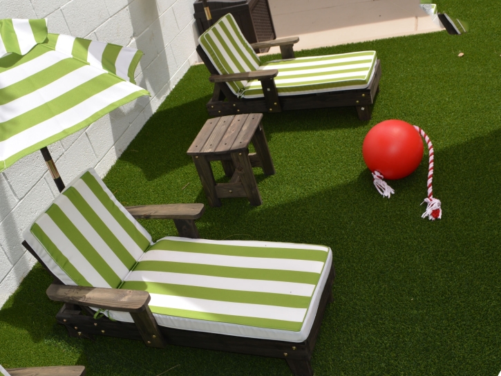 Green Lawn Hillcrest Heights, Maryland Landscape Ideas, Backyard Design