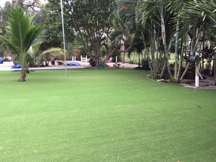 Green Lawn Suitland, Maryland Rooftop, Commercial Landscape