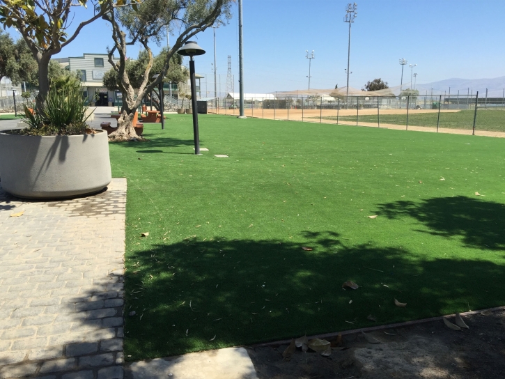 Plastic Grass Green Valley, Maryland Backyard Playground, Recreational Areas