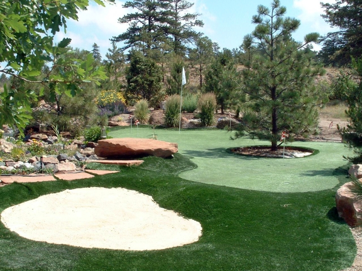 Putting Greens Garrett Park Maryland Fake Turf Front Yard