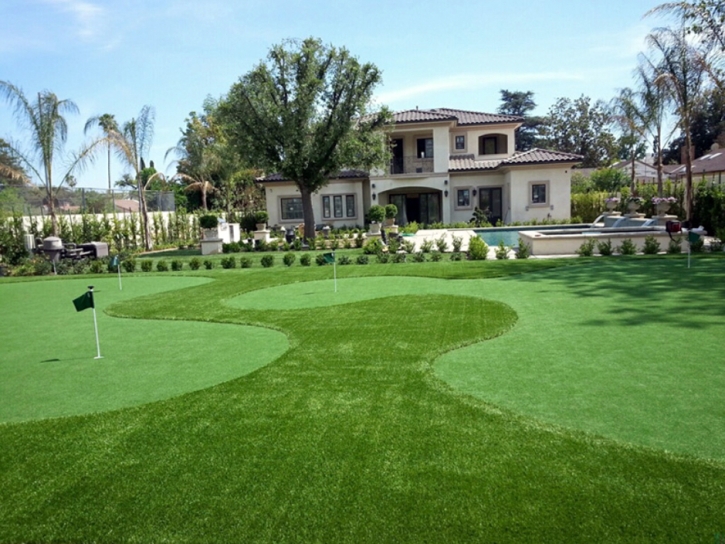 Putting Greens Largo Maryland Fake Grass Commercial Landscape