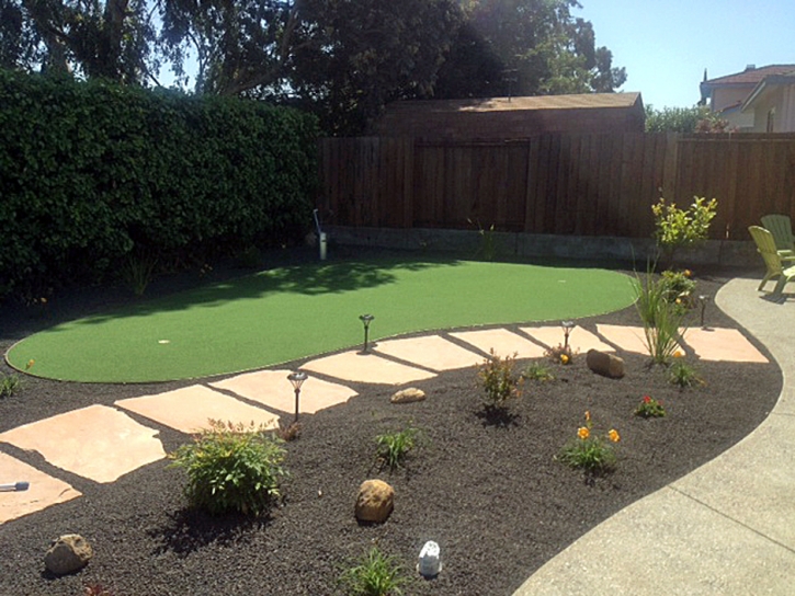 Putting Greens Mayo Maryland Artificial Turf Back Yard