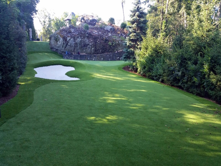 Putting Greens Middle River Maryland Synthetic Grass