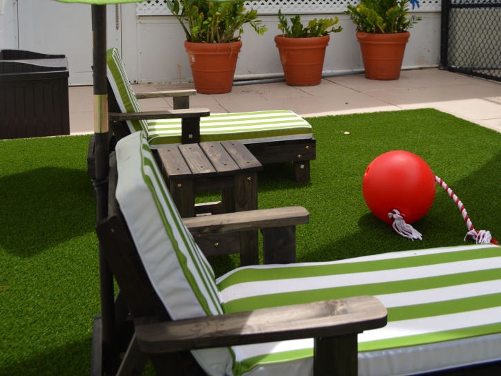 Synthetic Grass Charlestown, Maryland Lawn And Garden, Patio