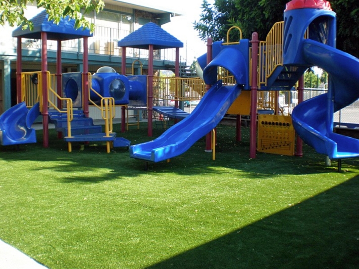 Synthetic Grass Forest Glen Maryland Playgrounds Back Yard