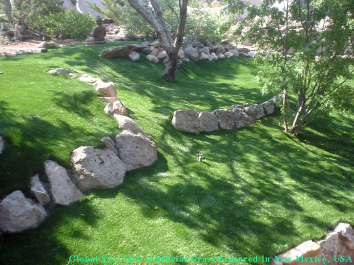 Synthetic Grass Mount Vernon Maryland Lawn