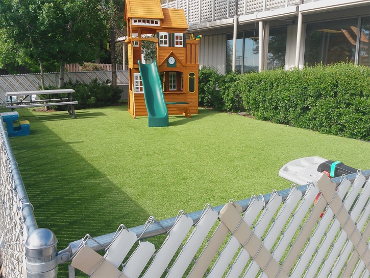 Synthetic Grass Washington Grove Maryland Kids Safe Recreational