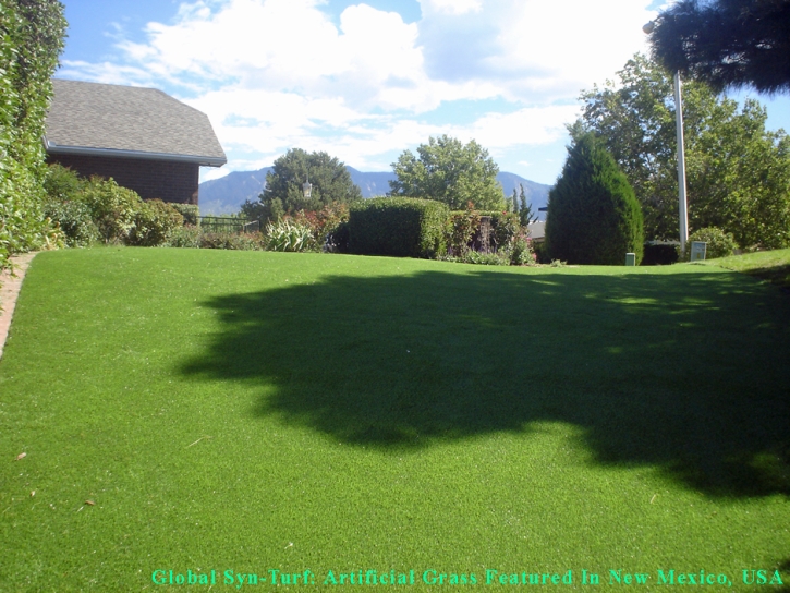 Synthetic Pet Grass Baltimore Highlands Maryland Installation