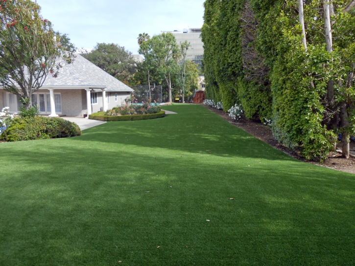 Synthetic Pet Grass Bel Air South Maryland Installation Back