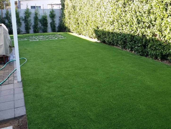 Synthetic Pet Grass Goddard Maryland for Dogs Front Yard