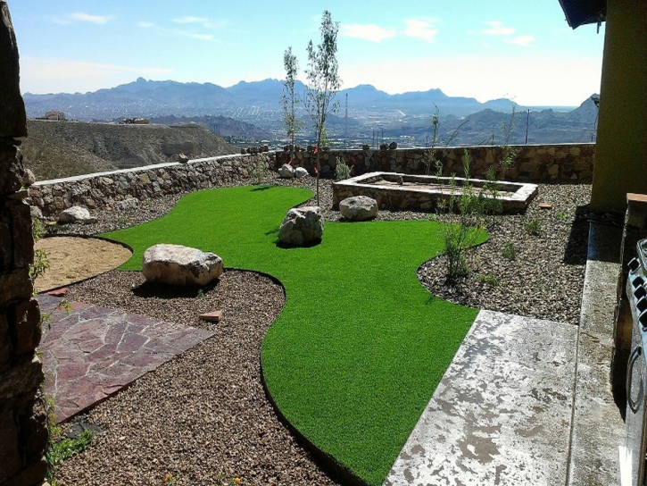 Synthetic Pet Grass Highland Maryland Installation Front