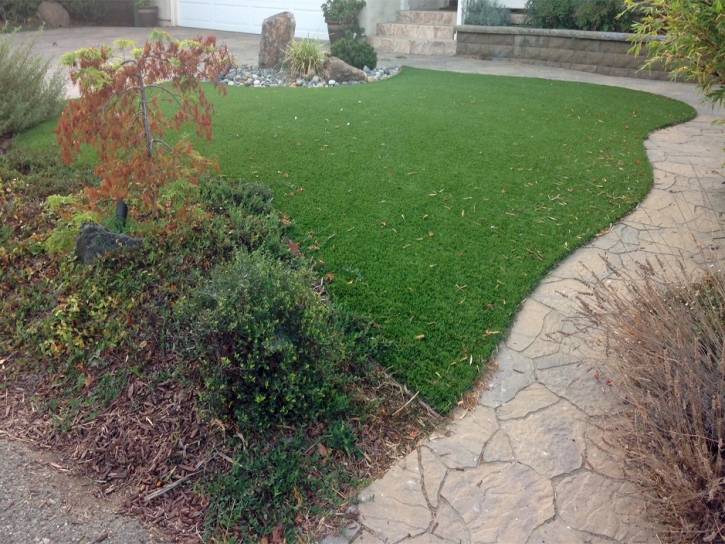 Synthetic Pet Grass North Brentwood Maryland for Dogs Commercial