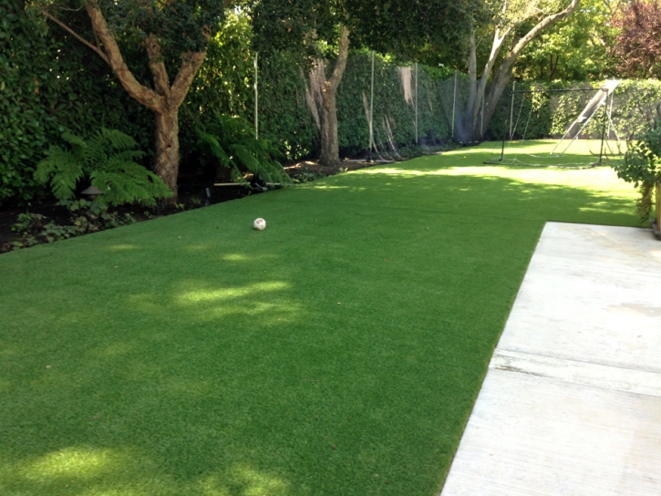 Synthetic Pet Grass Stevensville Maryland Installation Front