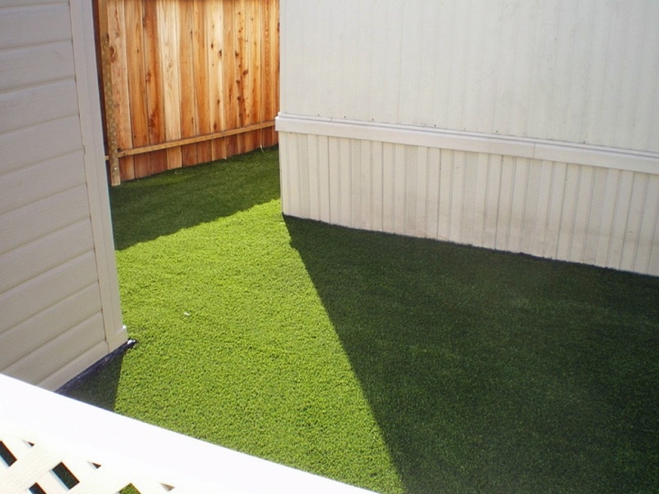Synthetic Pet Turf Brentwood Maryland Installation Pavers