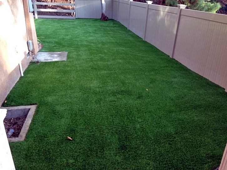 Synthetic Pet Turf Brentwood Maryland Installation Swimming