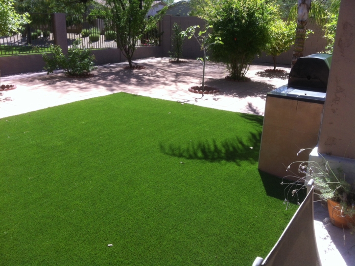 Synthetic Pet Turf Chevy Chase Section Five Maryland Installation