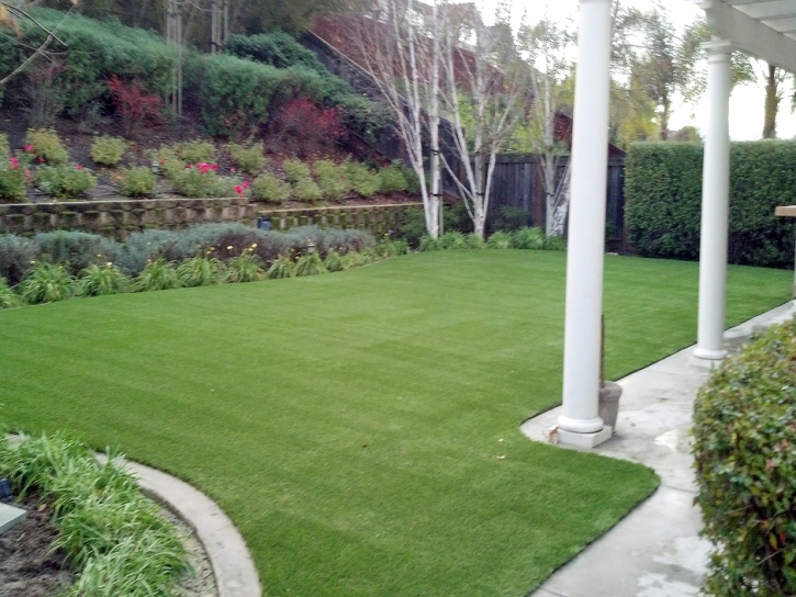 Synthetic Pet Turf Fulton Maryland for Dogs Front Yard