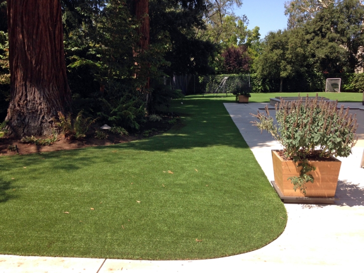 Synthetic Pet Turf Jessup Maryland Installation Front Yard