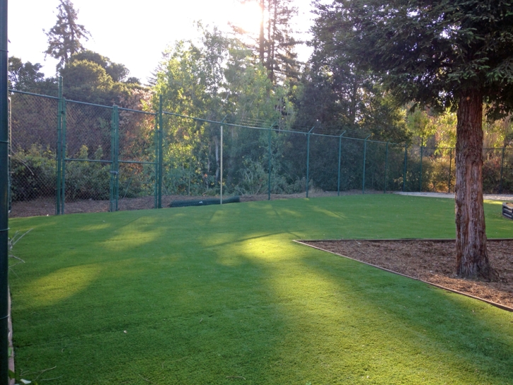 Synthetic Turf Edmonston Maryland Playgrounds