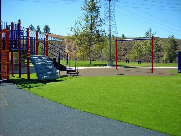 Synthetic Turf Hyattsville Maryland Playgrounds Front Yard
