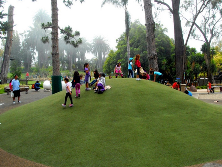 Synthetic Turf Landover Maryland Playgrounds Front Yard