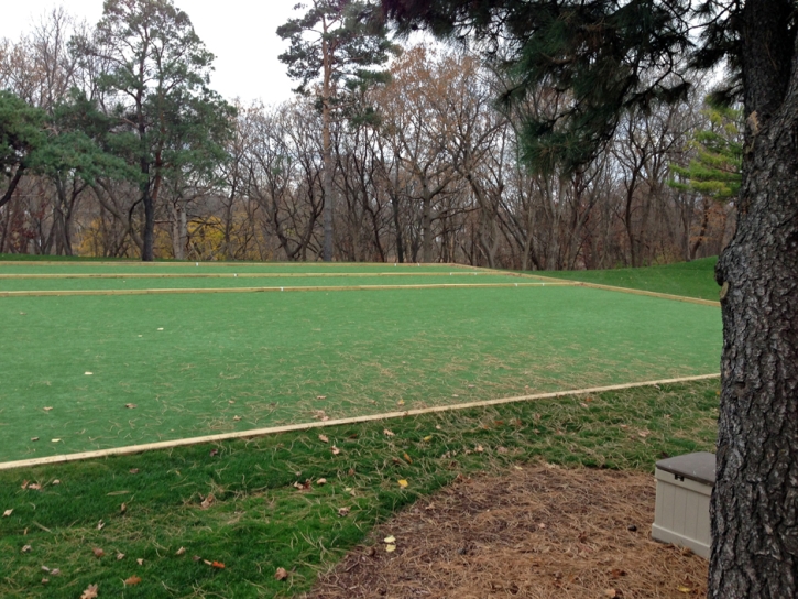 Synthetic Turf Sports Applications Mayo Maryland Back Yard