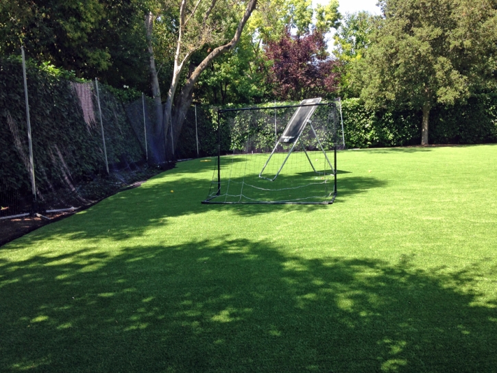 Synthetic Turf Sports Applications Sykesville Maryland Back