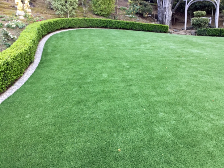 Synthetic Turf Walker Mill Maryland Lawn