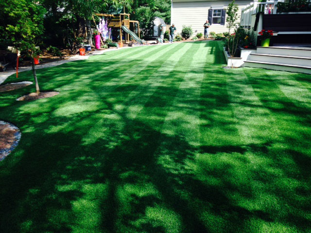 Turf Grass Marlow Heights, Maryland Lawn And Landscape, Backyard Landscape Ideas