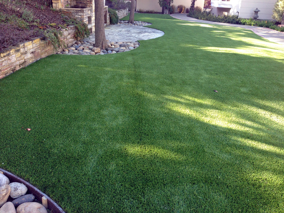 Fake Pet Grass Chester Maryland For, Landscaping Ideas For Small Backyards With Dogs In India